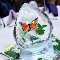 Orange butterfly encased in clear ice with green leaves