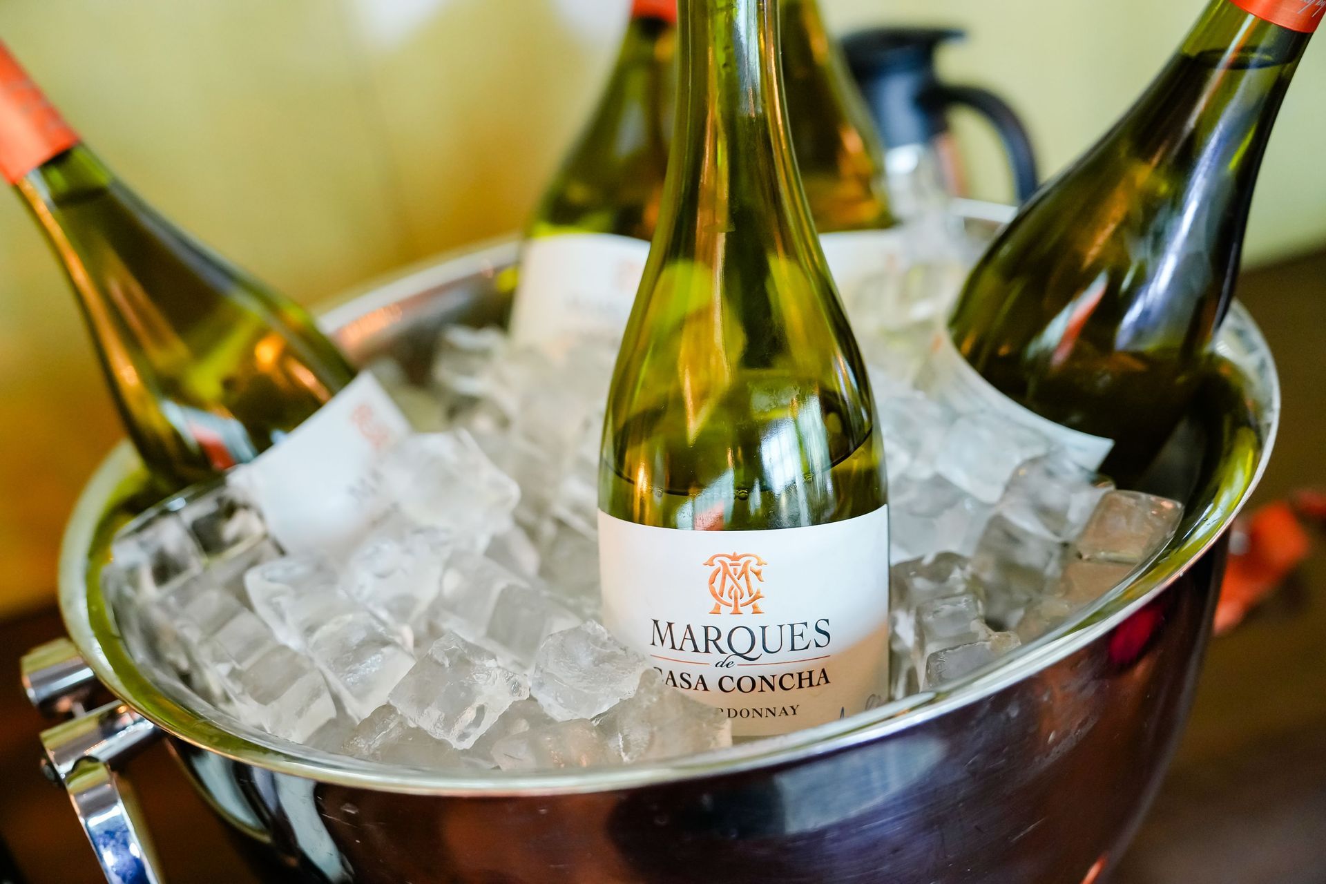 Chilled white wine bottles resting inside a metal ice bucket filled with clear ice cubes for a celebration.