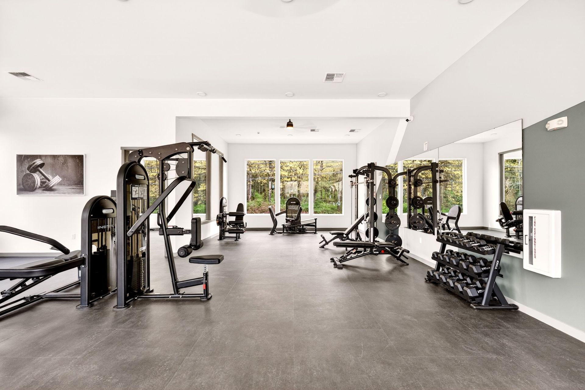 Spacious modern gym with cable machines, dumbbells, and large windows overlooking greenery