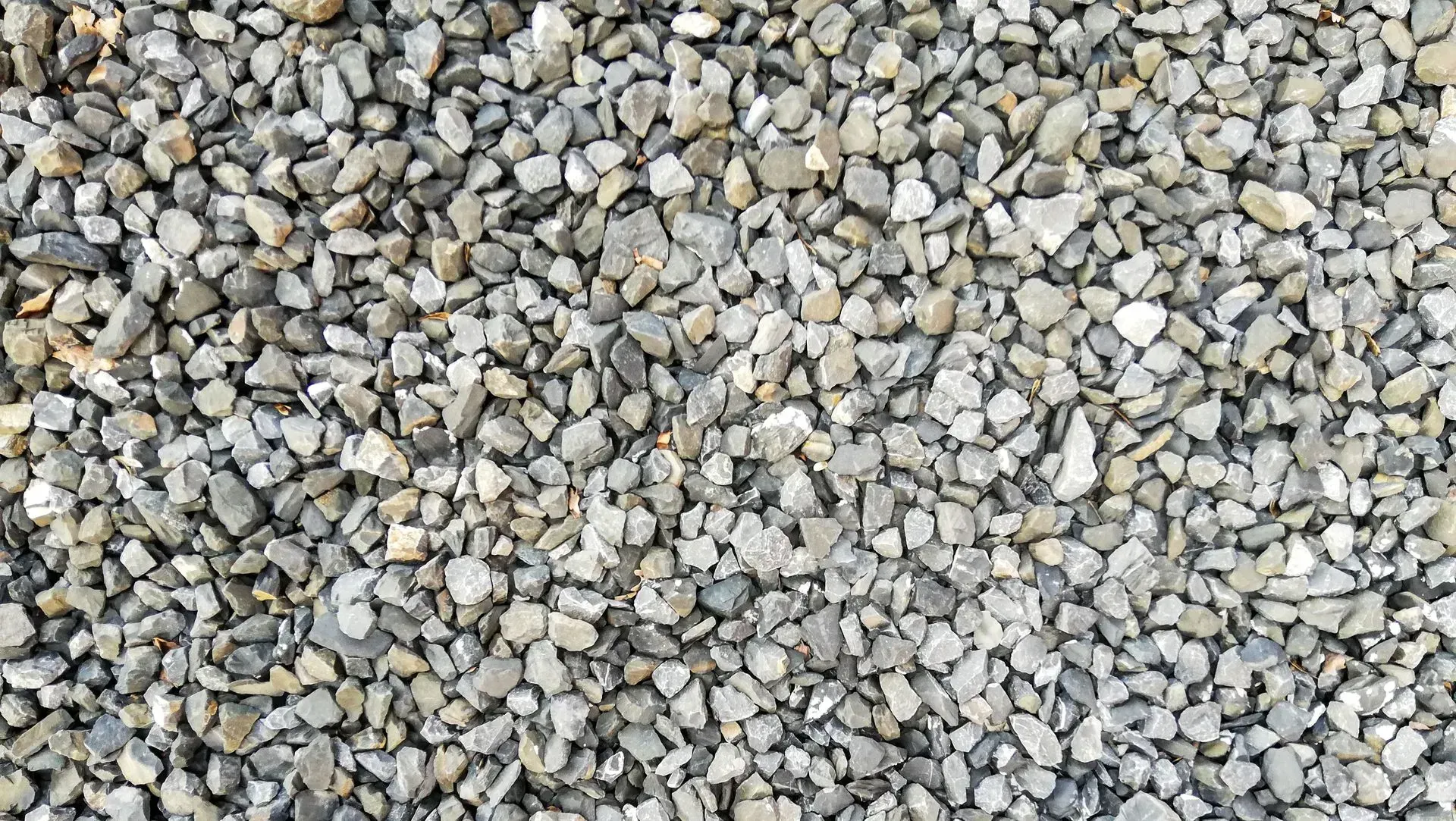 Close-up of small gray and beige gravel stones covering the ground.