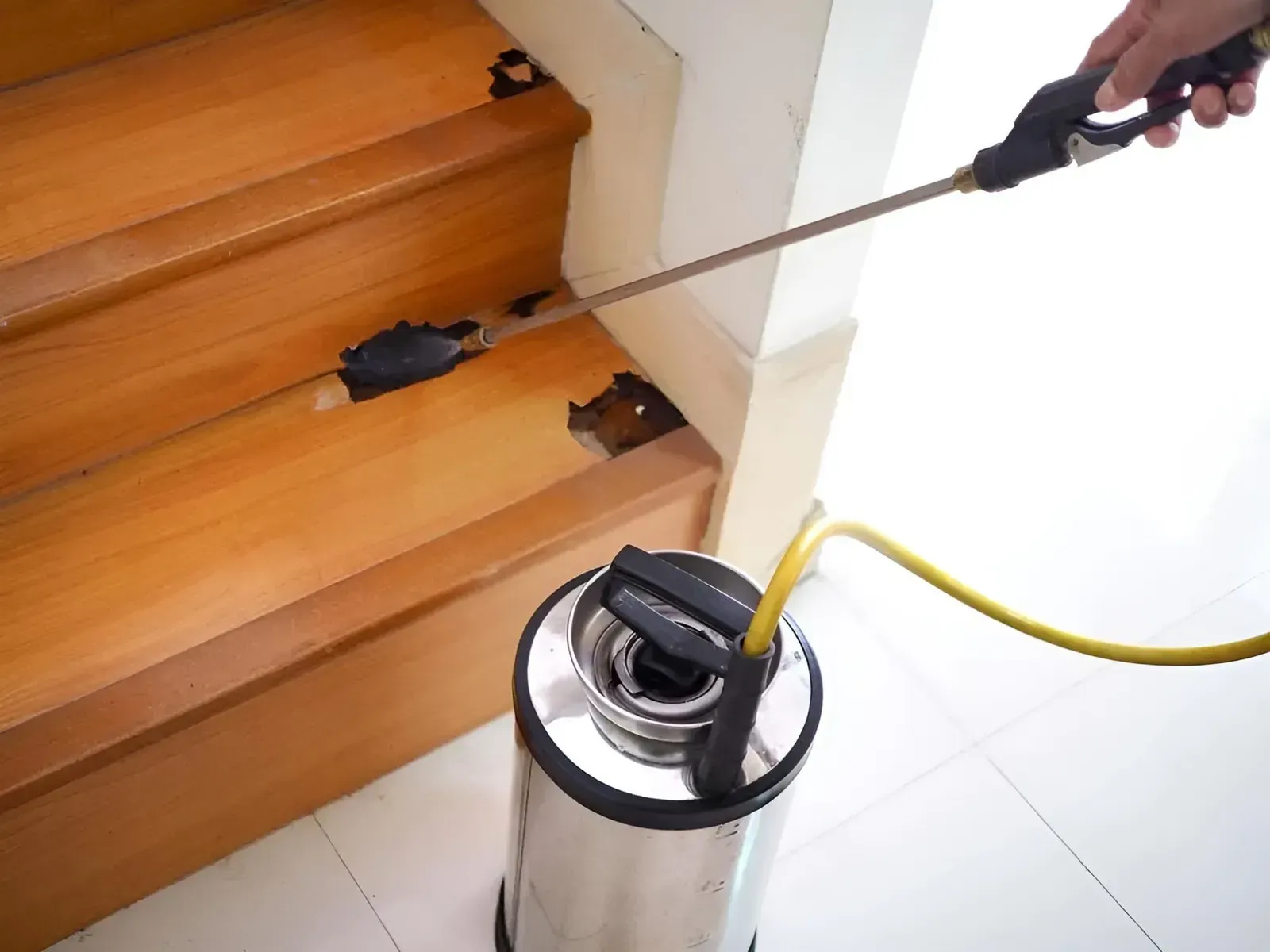 Person Spraying Insecticide on Termite-Damaged Wooden Stairs — Boland Contracting In Wellington, NSW