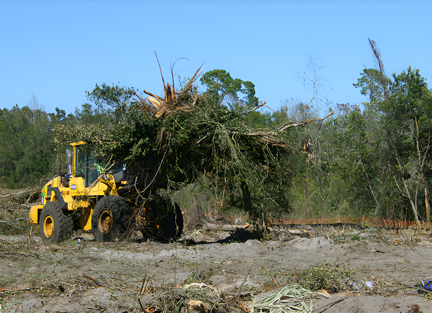 Machine Clearing Trees For Safer Sites With Professional Earthmoving In Dubbo
