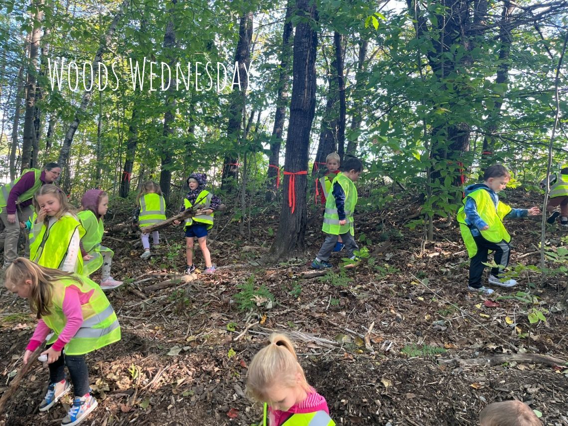 A group of children are digging in the woods.