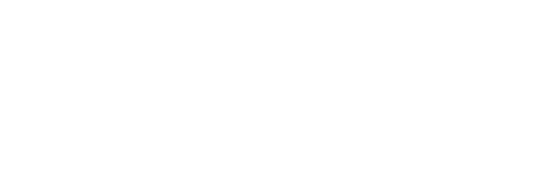 Sesana Idraulica logo