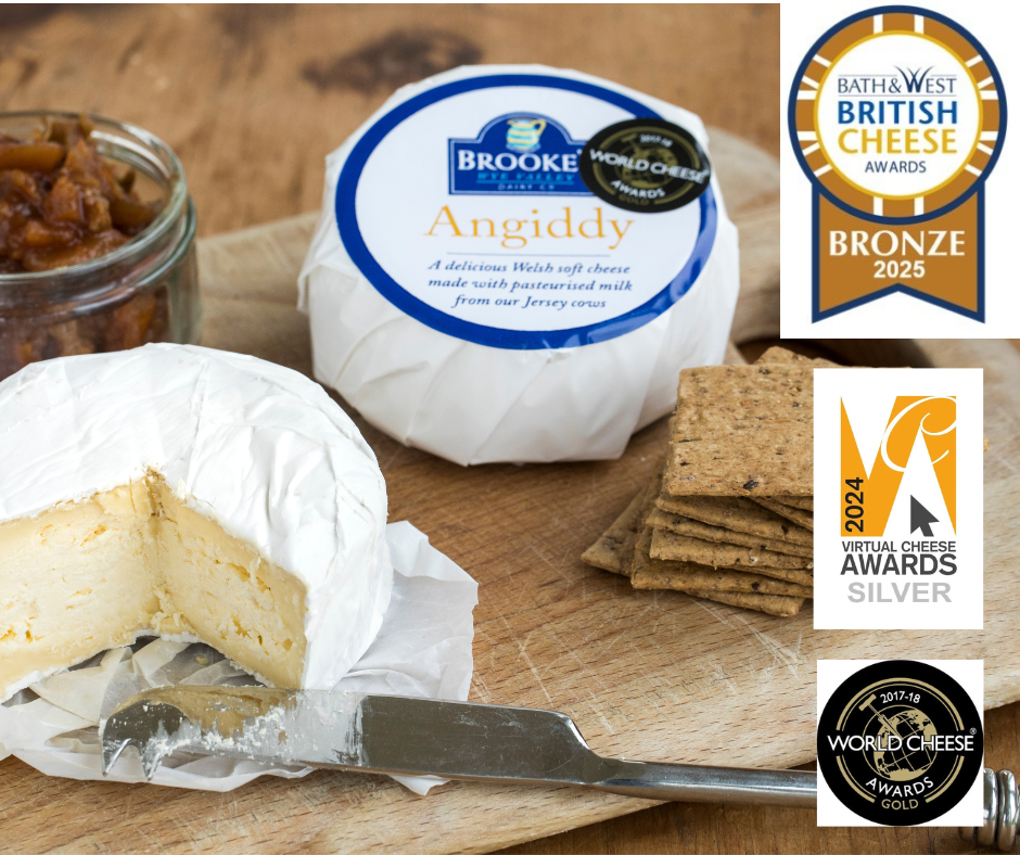 Bronze award for Angiddy Cheese