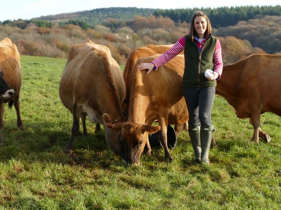 Hannah with Jersey cows