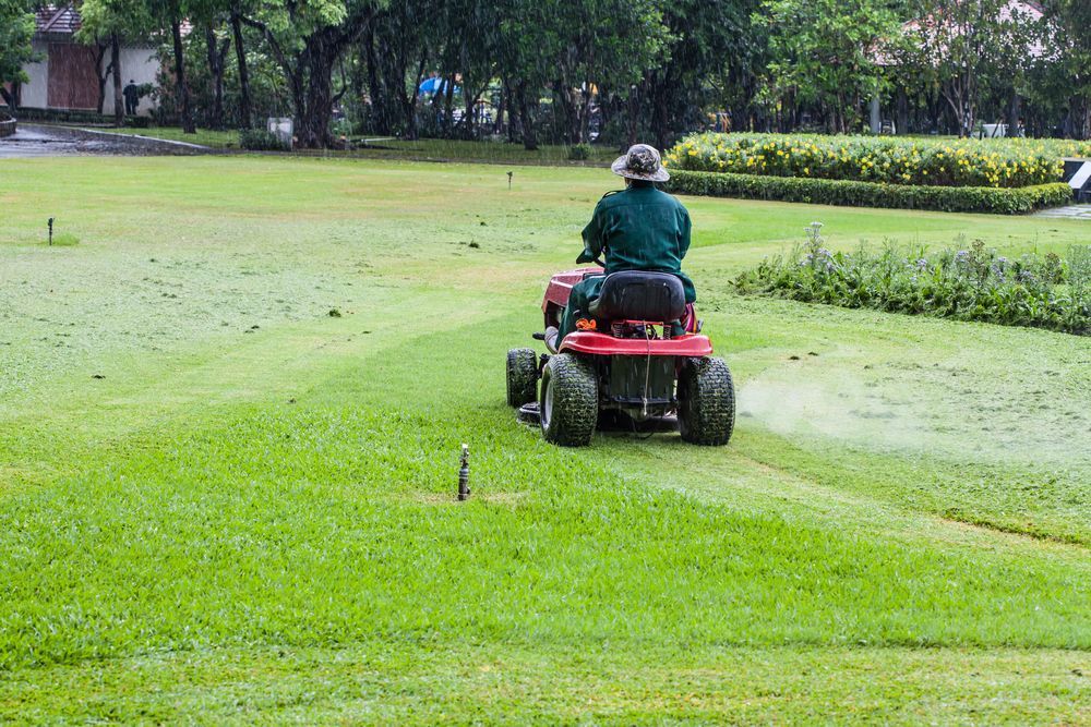 Man on A Red Riding Lawn Mower Cutting Grass on A Green Field in The Rain — Mullum Property Services in Mullumbimby, NSW