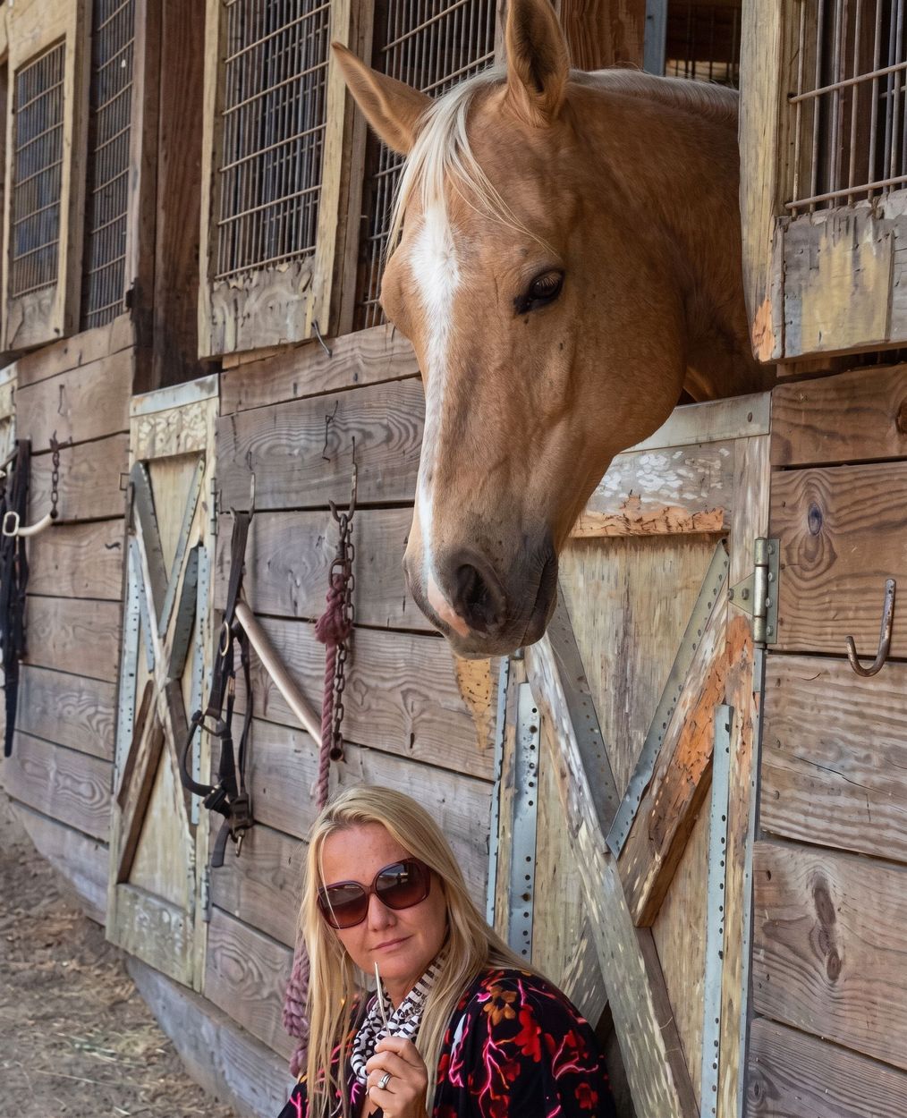 Woman in sunglasses beside a tan horse peering over a wooden stable wall