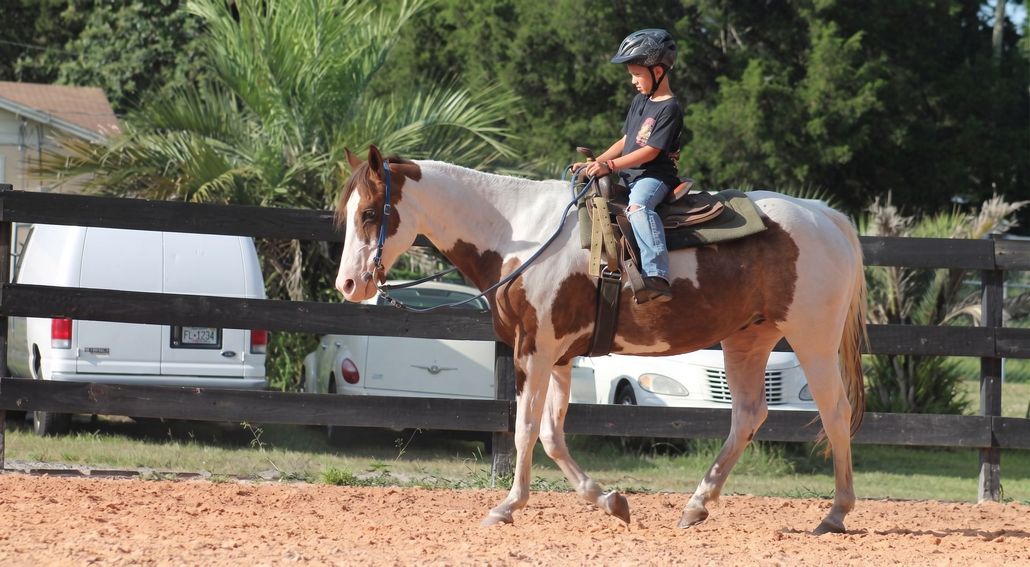 Person riding a brown-and-white horse in an outdoor arena, with a wooden fence and parked vehicles nearby