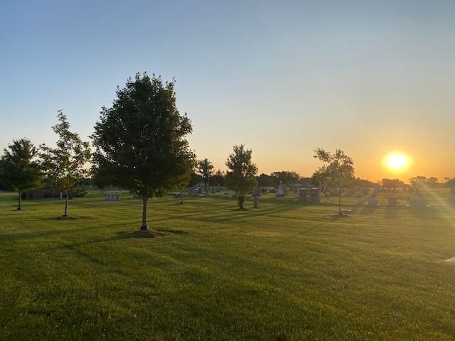 Green grassy field with scattered trees under a golden sunset.