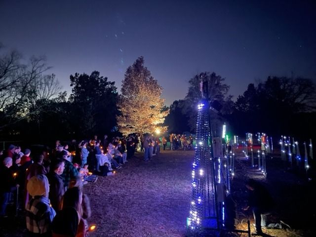 People gather at dusk with lit candles, watching illuminated trees in a park.