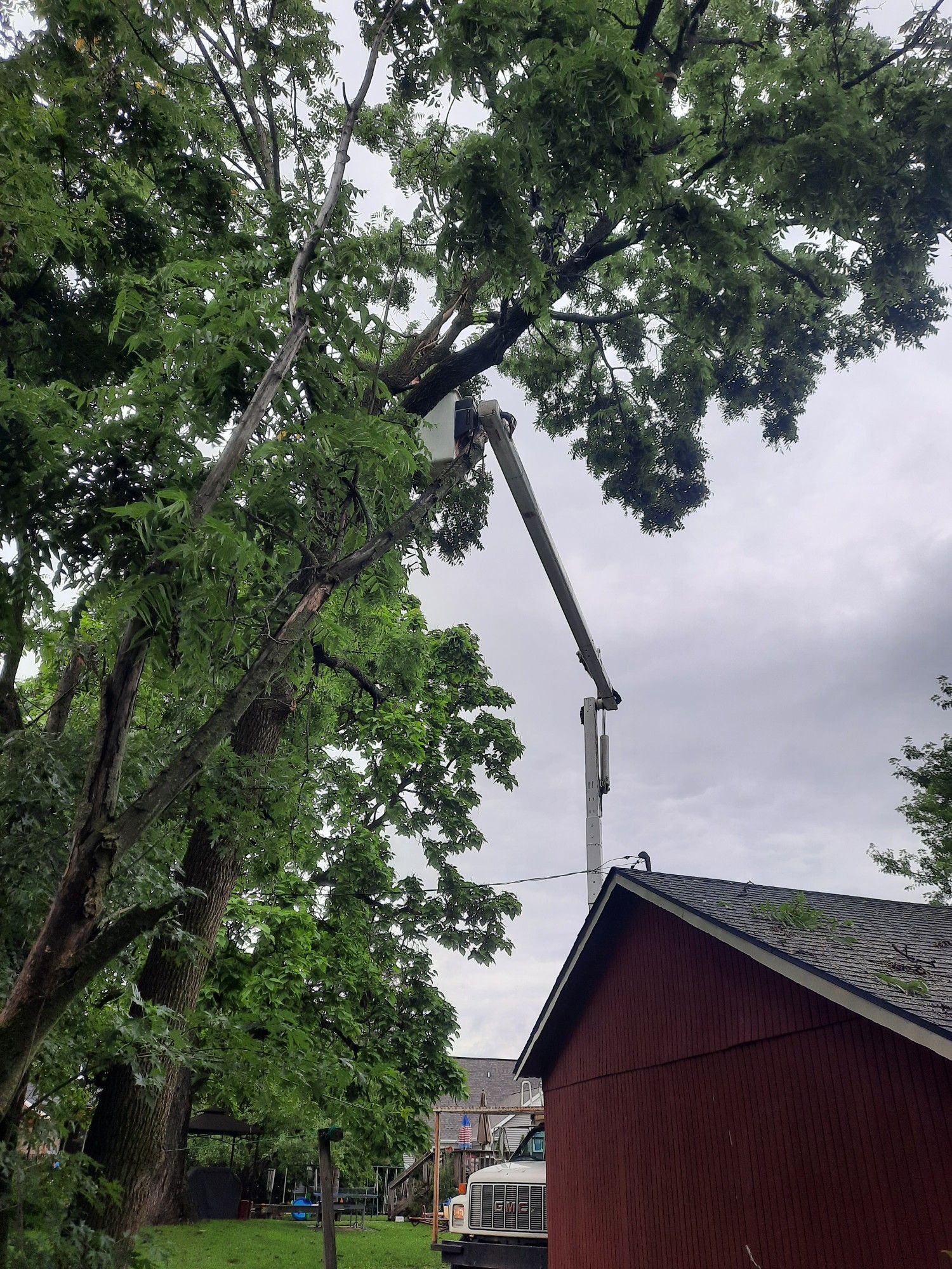 A crane is cutting a tree in front of a red barn.