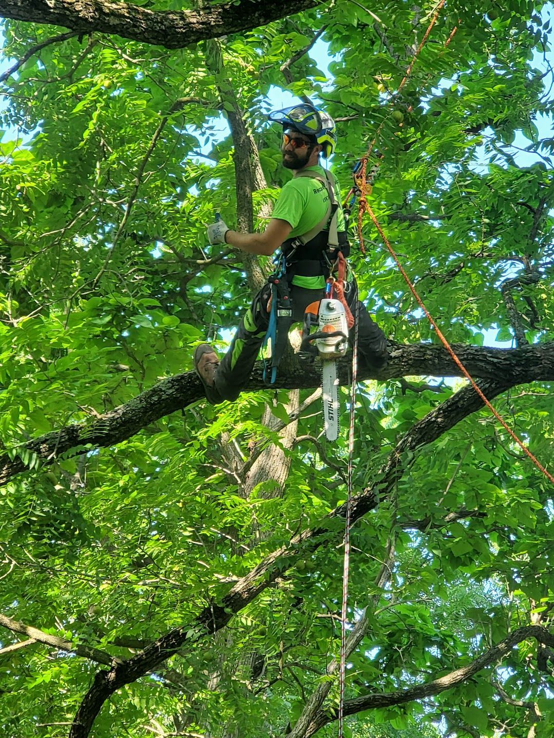 A man is cutting a tree branch with a chainsaw.