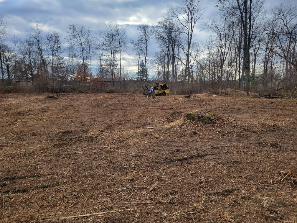 A tractor is driving through a field with trees in the background.
