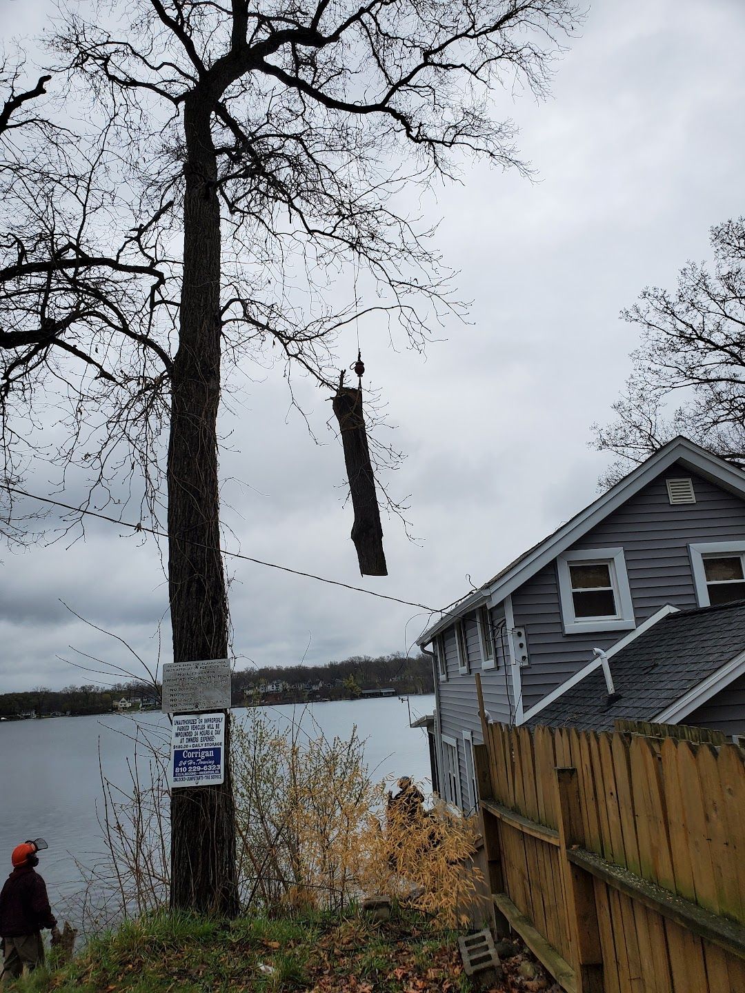 A tree is being cut down in front of a house.