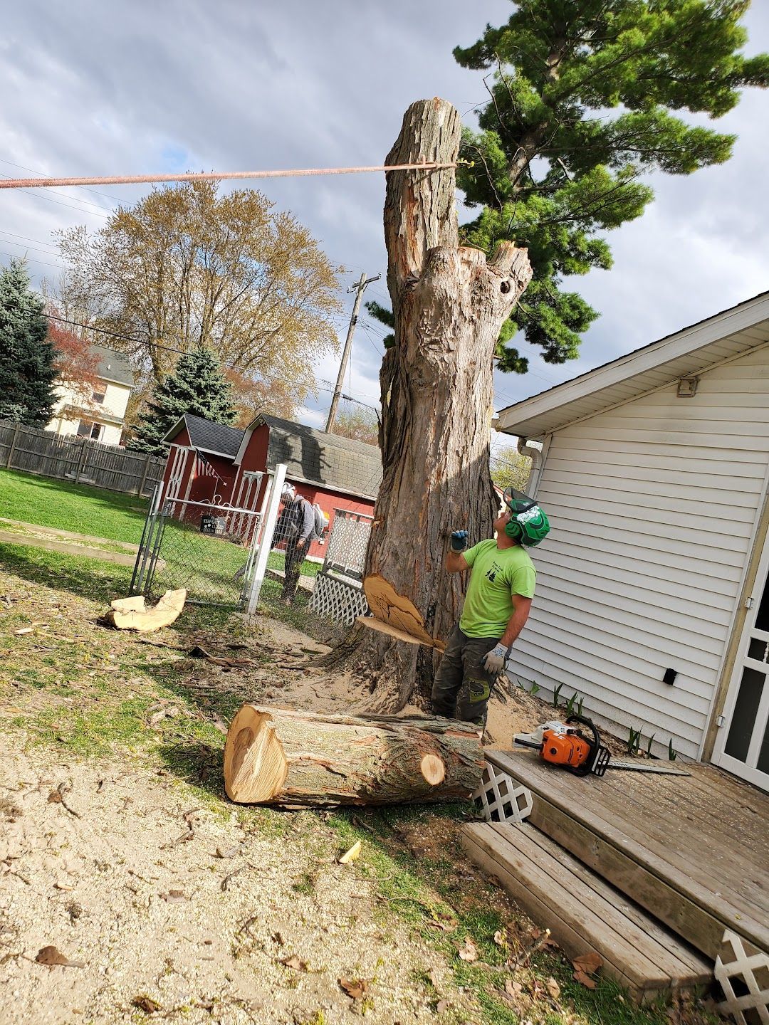 A man is cutting down a tree in front of a house.