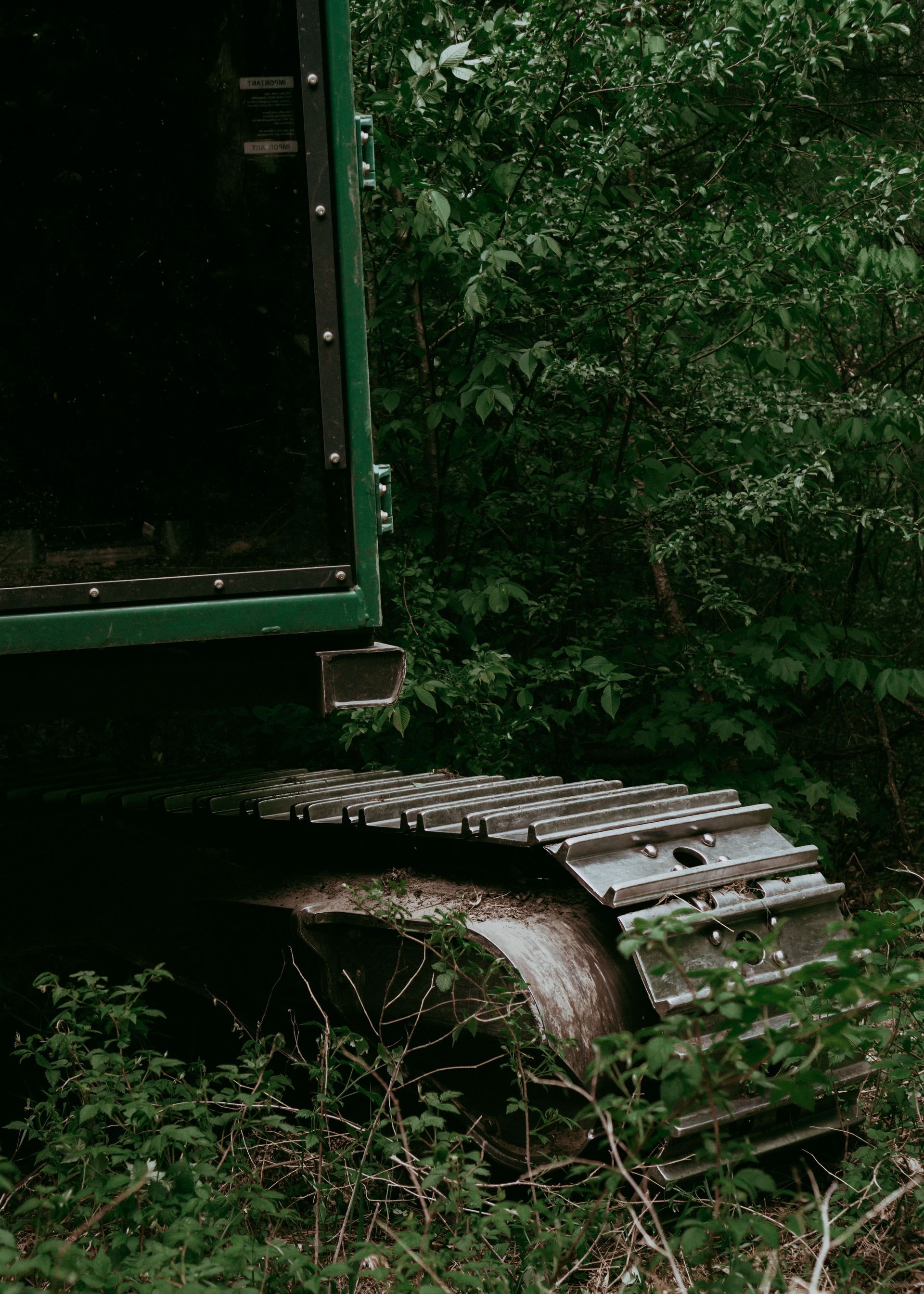 Green truck bed and muddy tire partly hidden in overgrown brush.