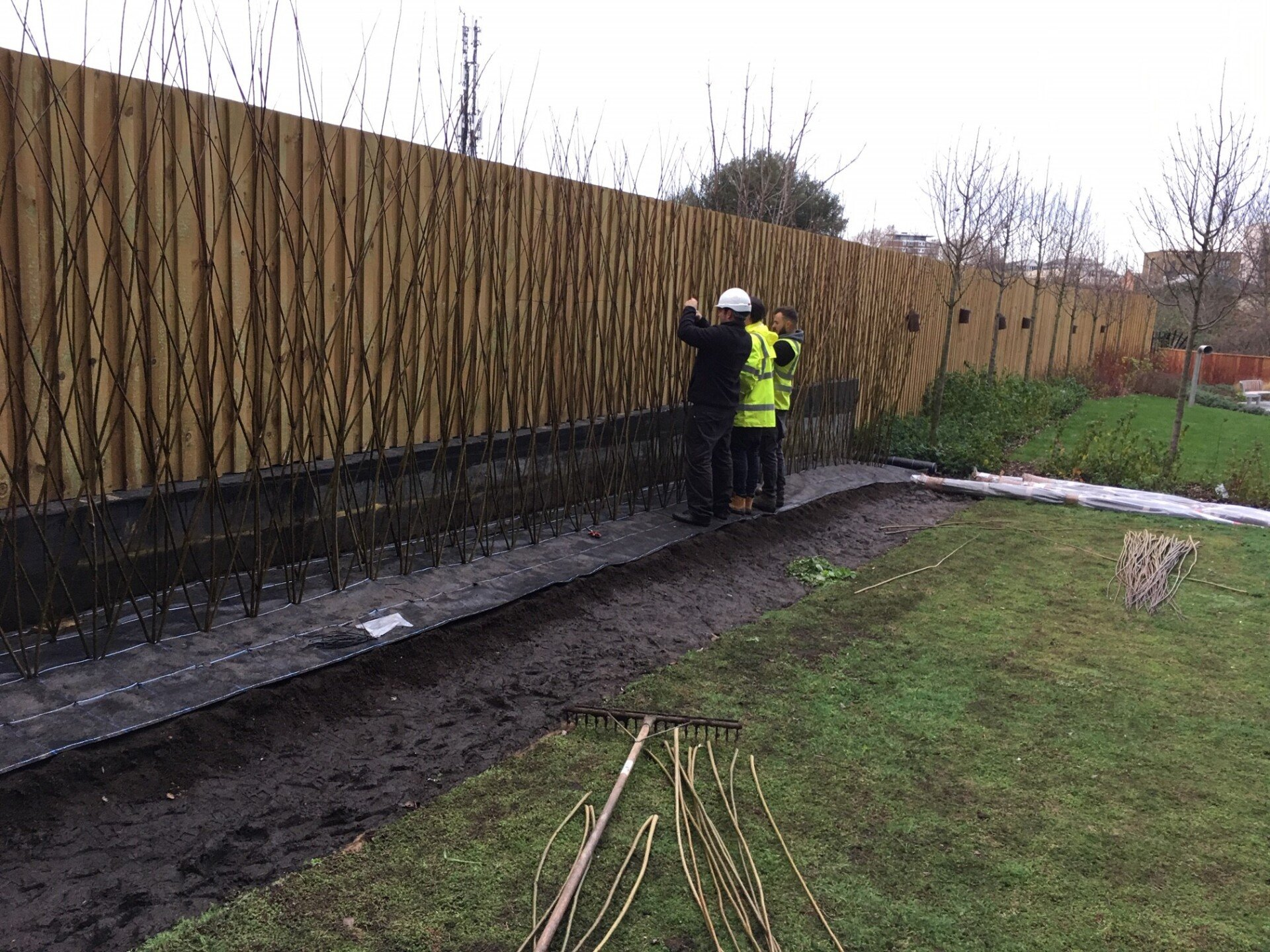 3 Layer Wall Willow Wall