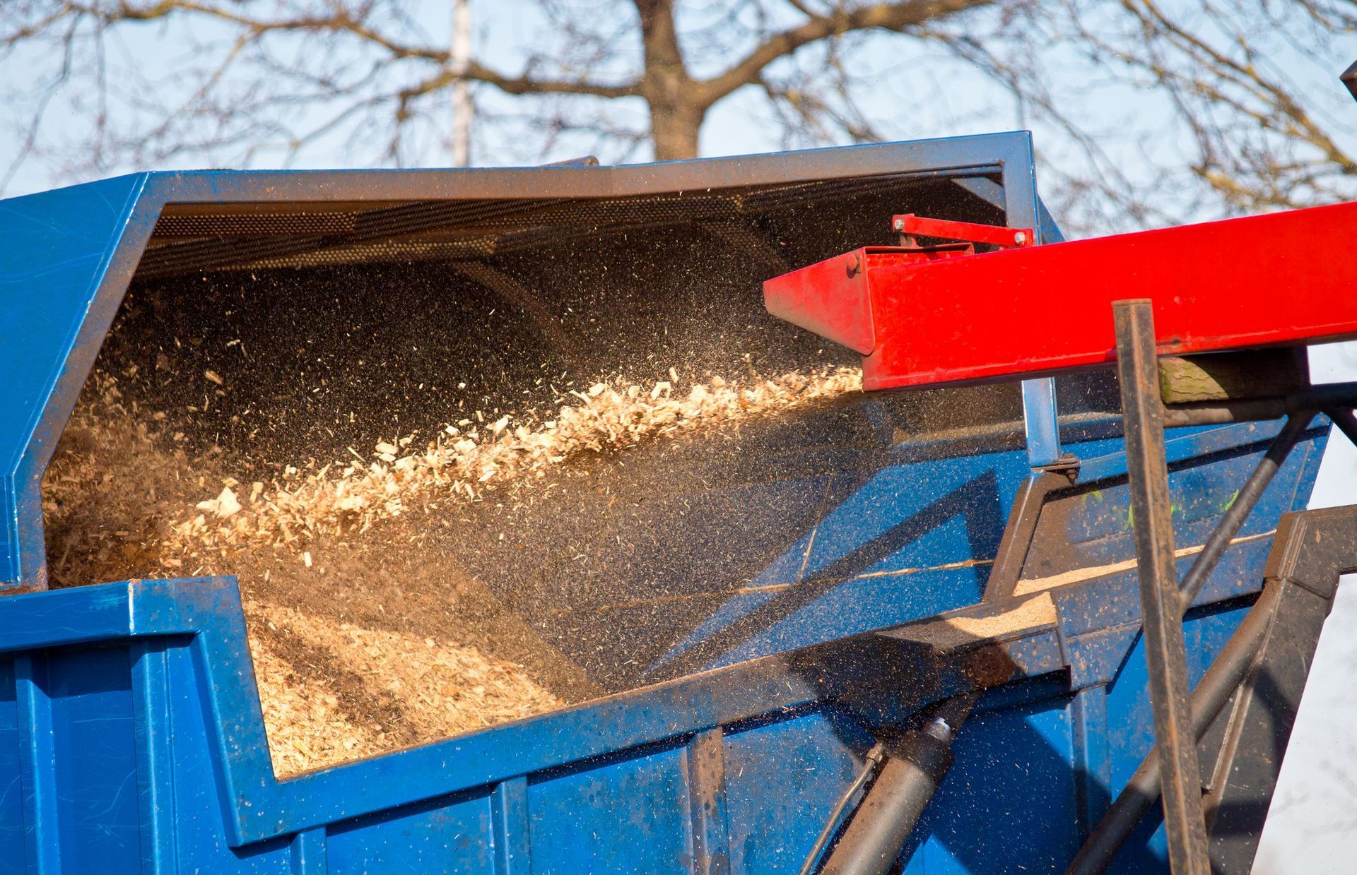 A blue dumpster filled with wood chips and a red conveyor belt.