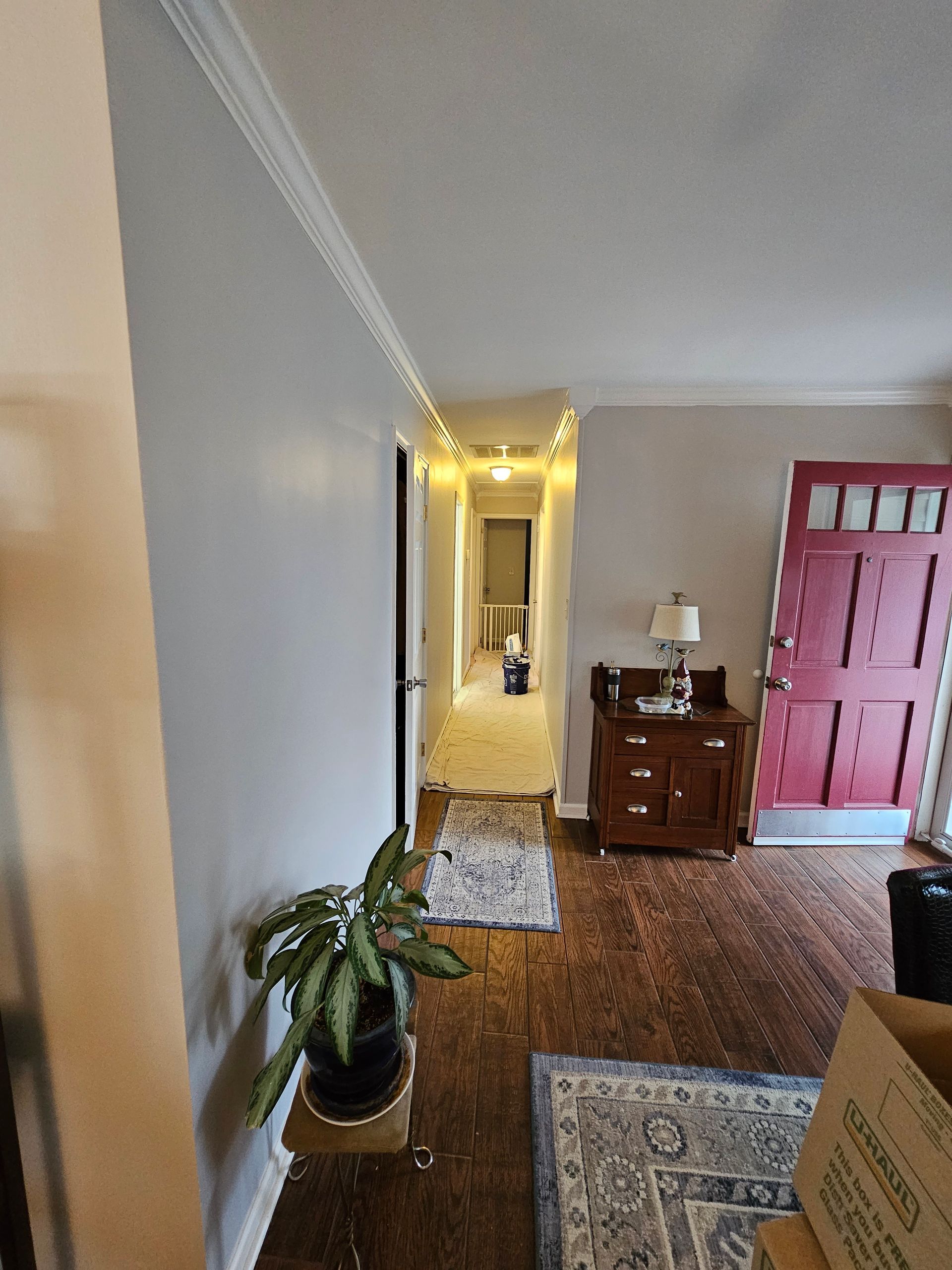 Hallway with beige walls, patterned rugs, a potted plant, and a red door beside a small wooden dresser.