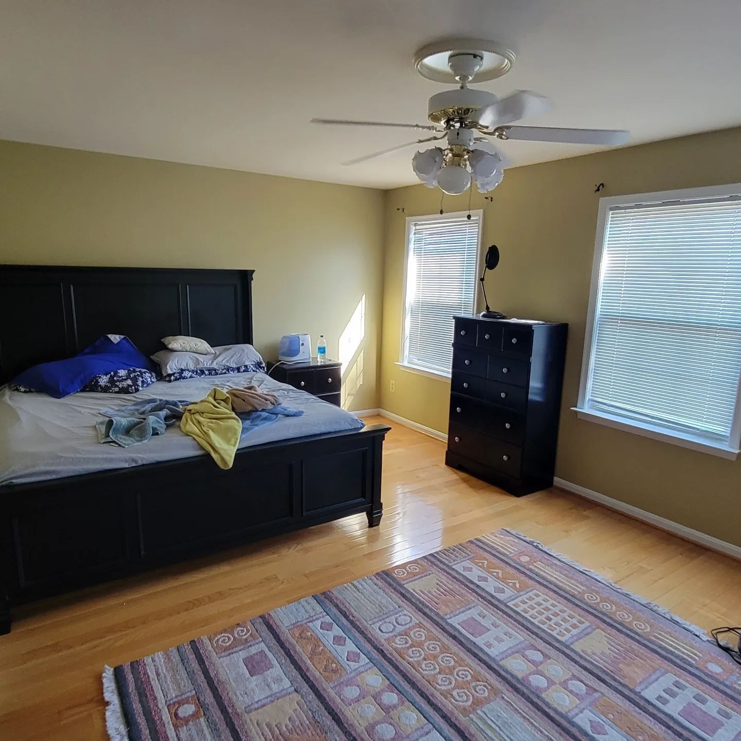 Bedroom with black bed, patterned rug, dresser, ceiling fan, and two windows with blinds.