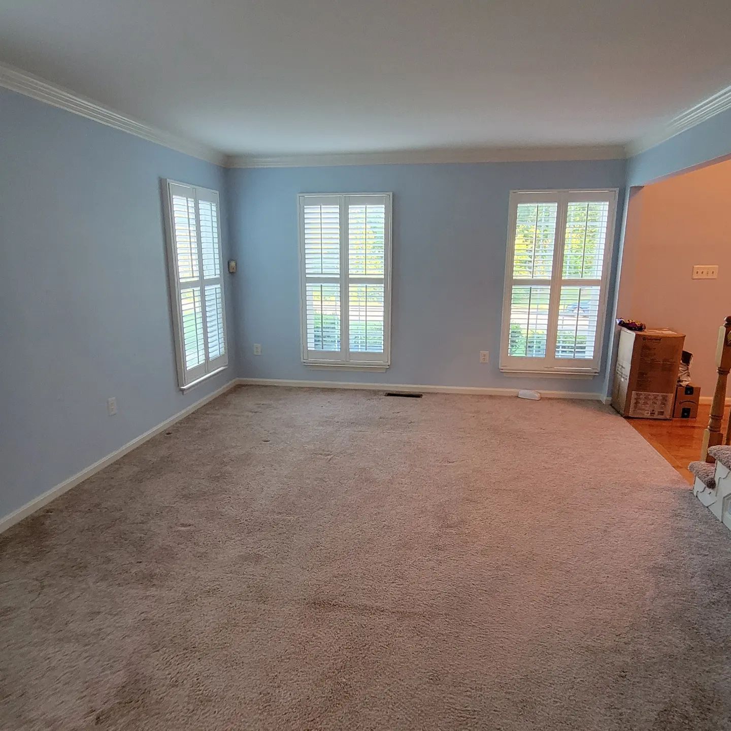Empty carpeted living room with light blue walls and large windows letting in daylight