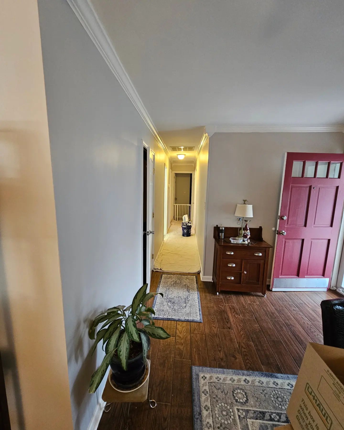 Living room with hardwood floor, red front door, potted plant, and a hallway lit in the distance