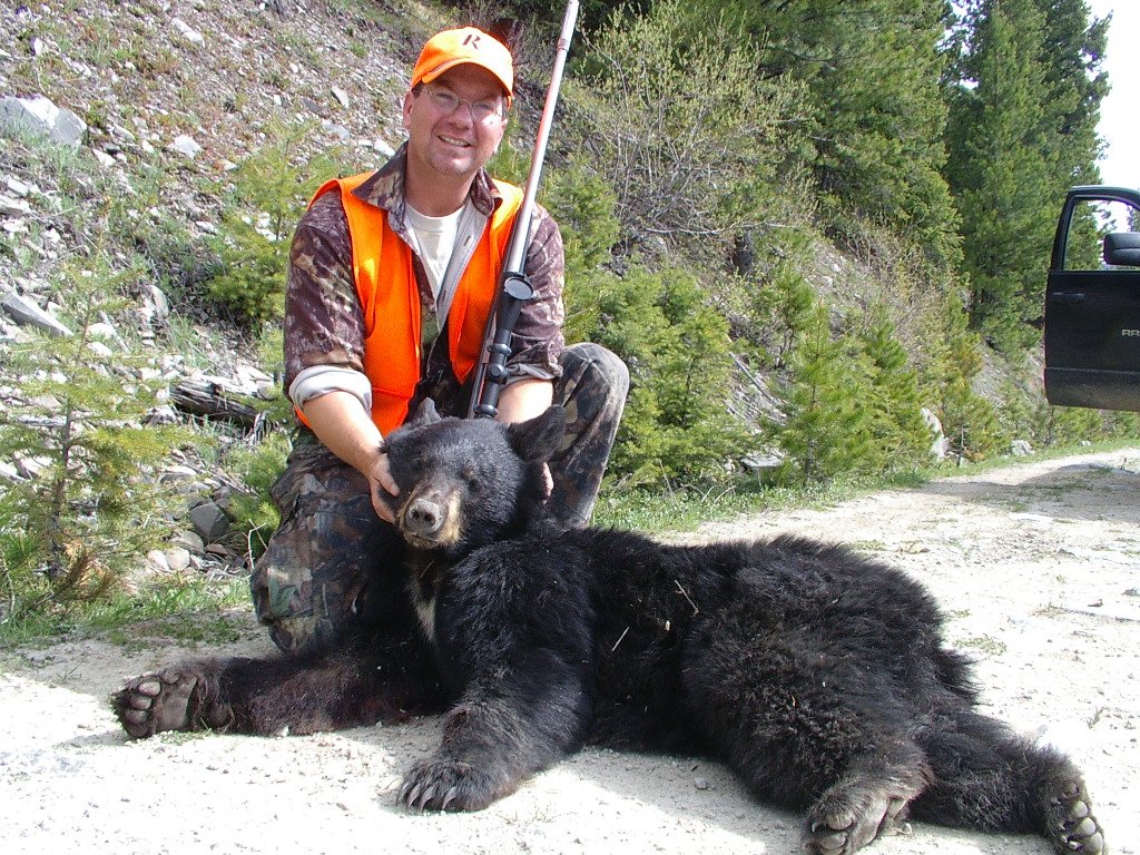 Montana Bear hunting, Montana Bear Hunt, MT Bear Hunting