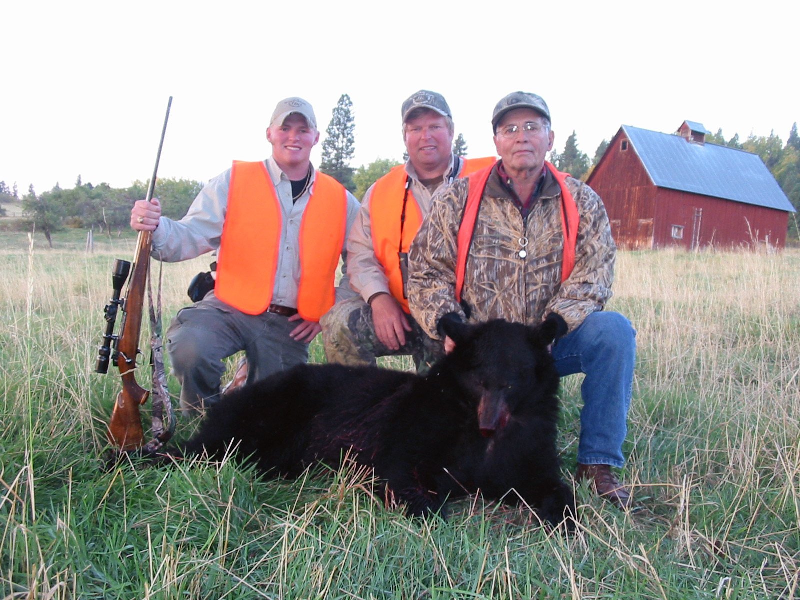 Montana Bear hunting, Montana Bear Hunt, MT Bear Hunting