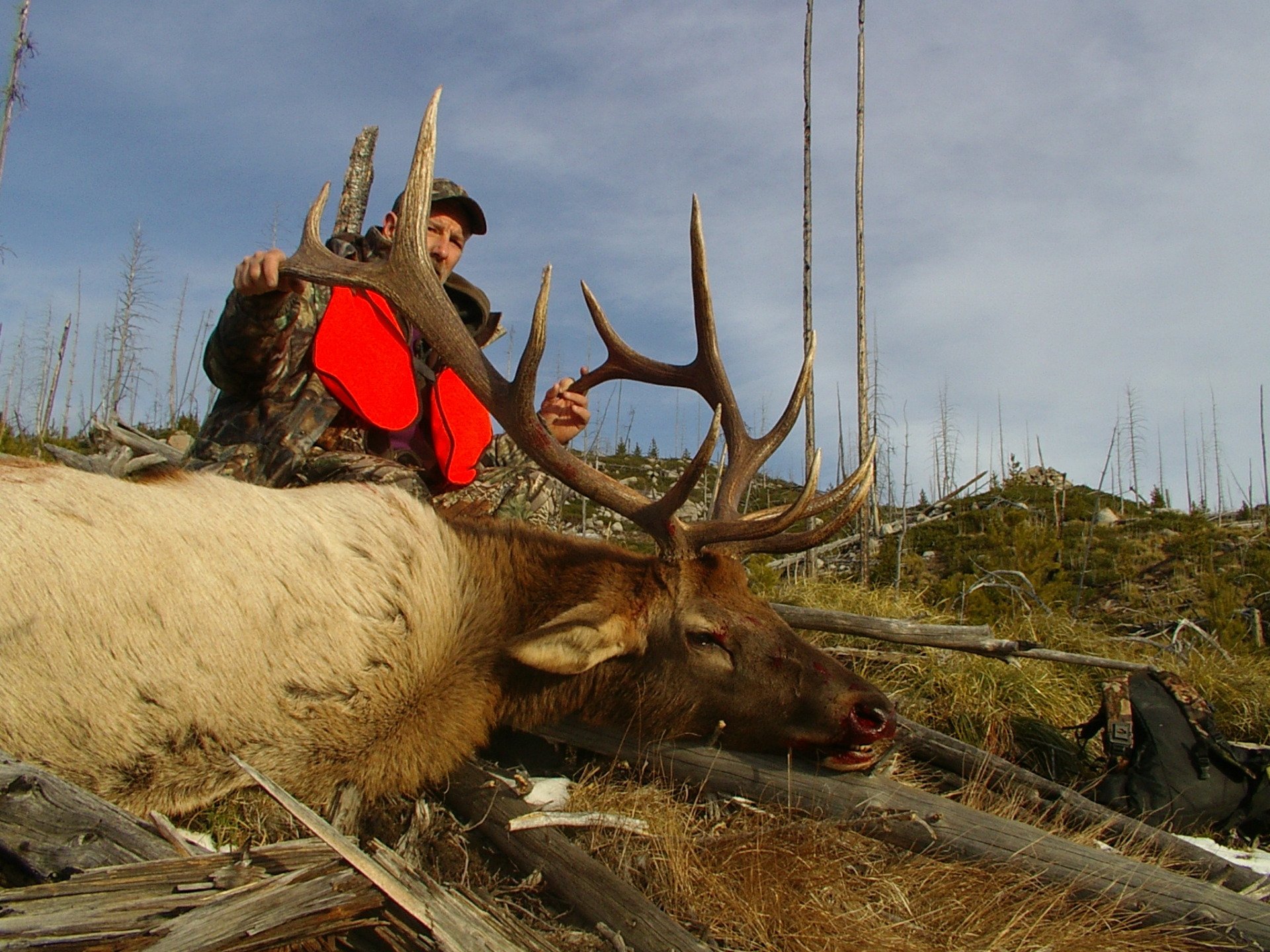 Montana Elk Hunting, Montana Mule Deer Hunting, Outfitter