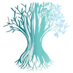 Healing Roots - Where Hope Is Found