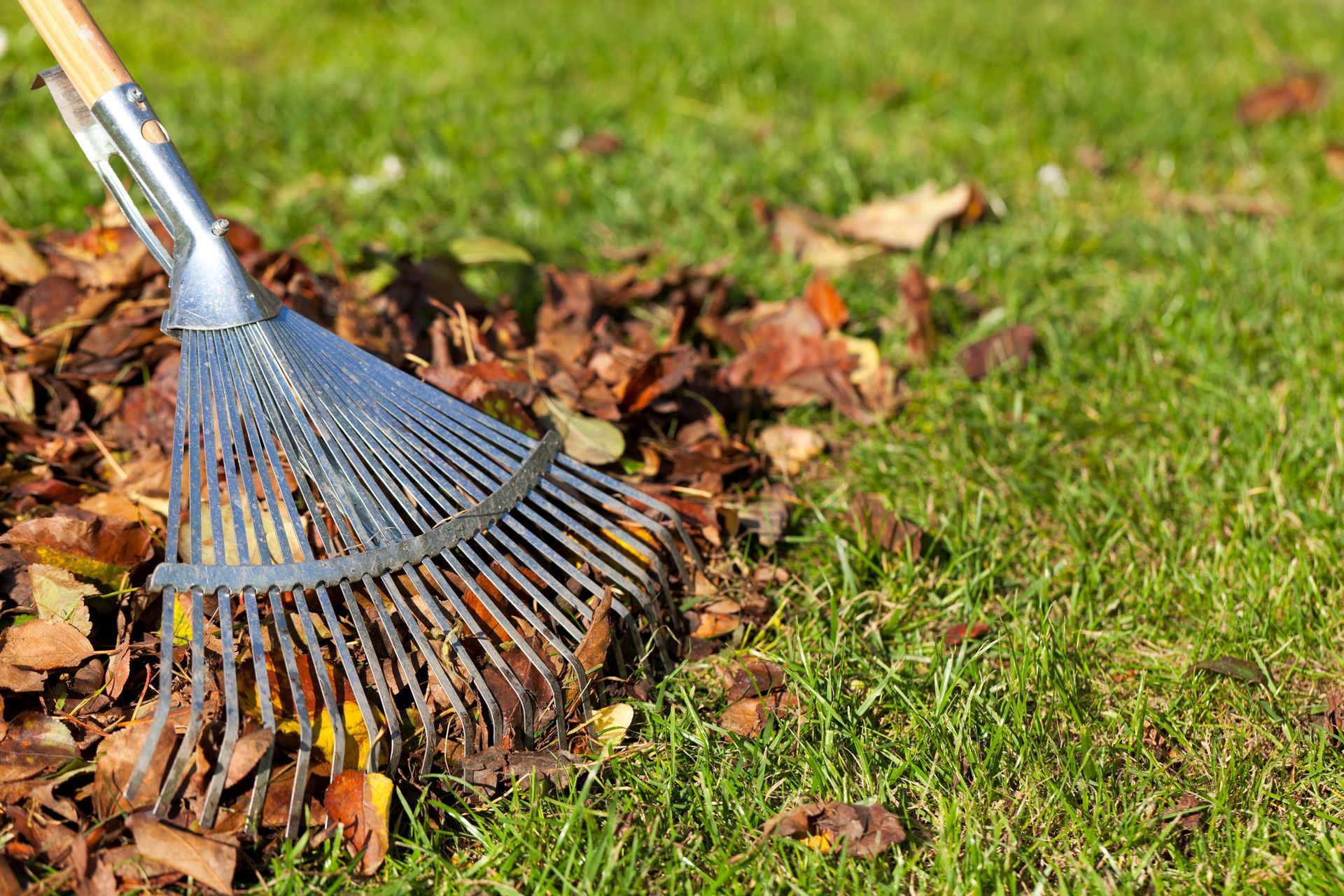 Seasonal - Orem, UT - Utah Professional Lawn Care