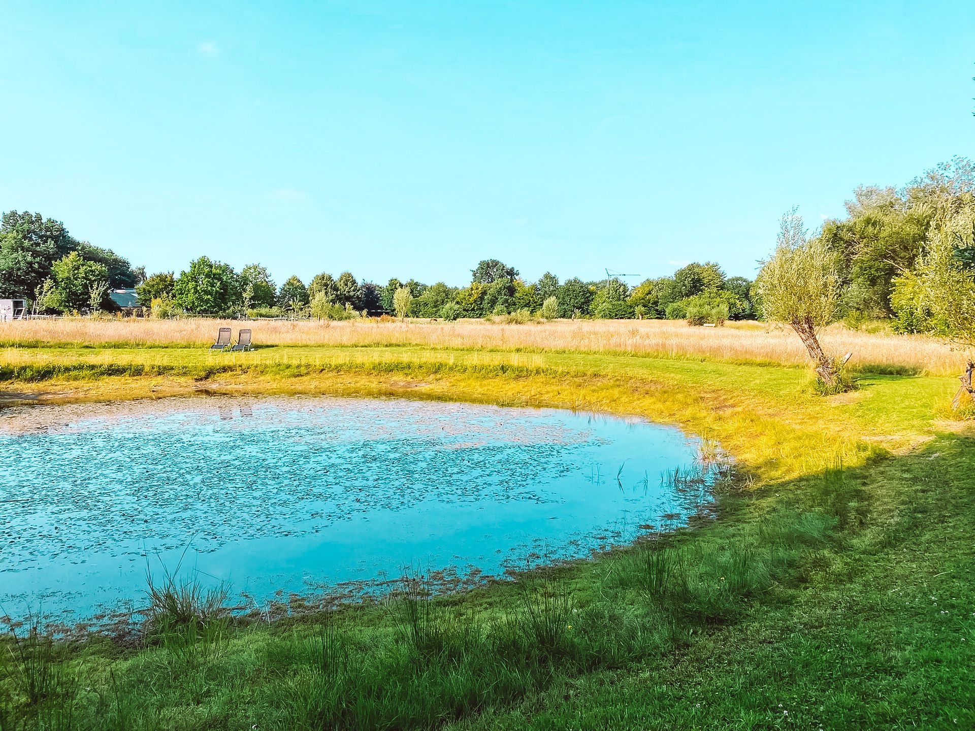 trouwen bruiloft apparance etten-leur trouwlocatie bosrijke omgeving landelijk romantisch wedding breda alles op 1 locatie