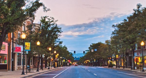 Street lined with trees and streetlights at dusk; shops and buildings on either side.