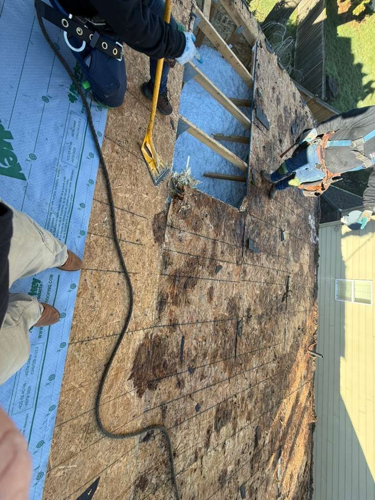 Roof repair work with workers, blue underlayment, and exposed plywood near a house exterior