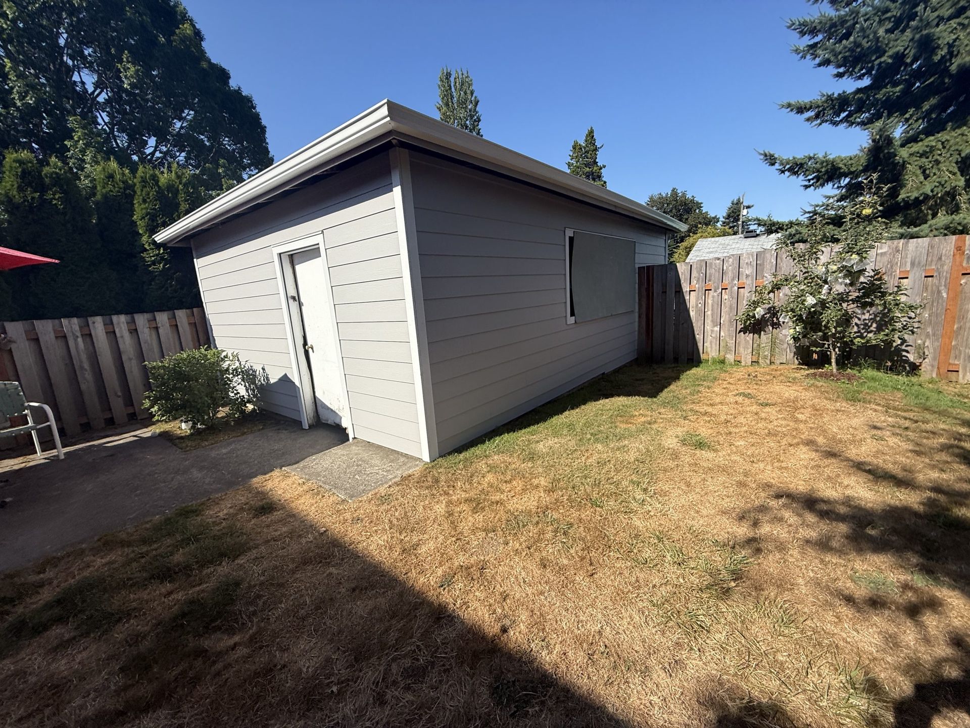 Small gray backyard shed on a dry lawn, bordered by wooden fences and trees under a clear blue sky