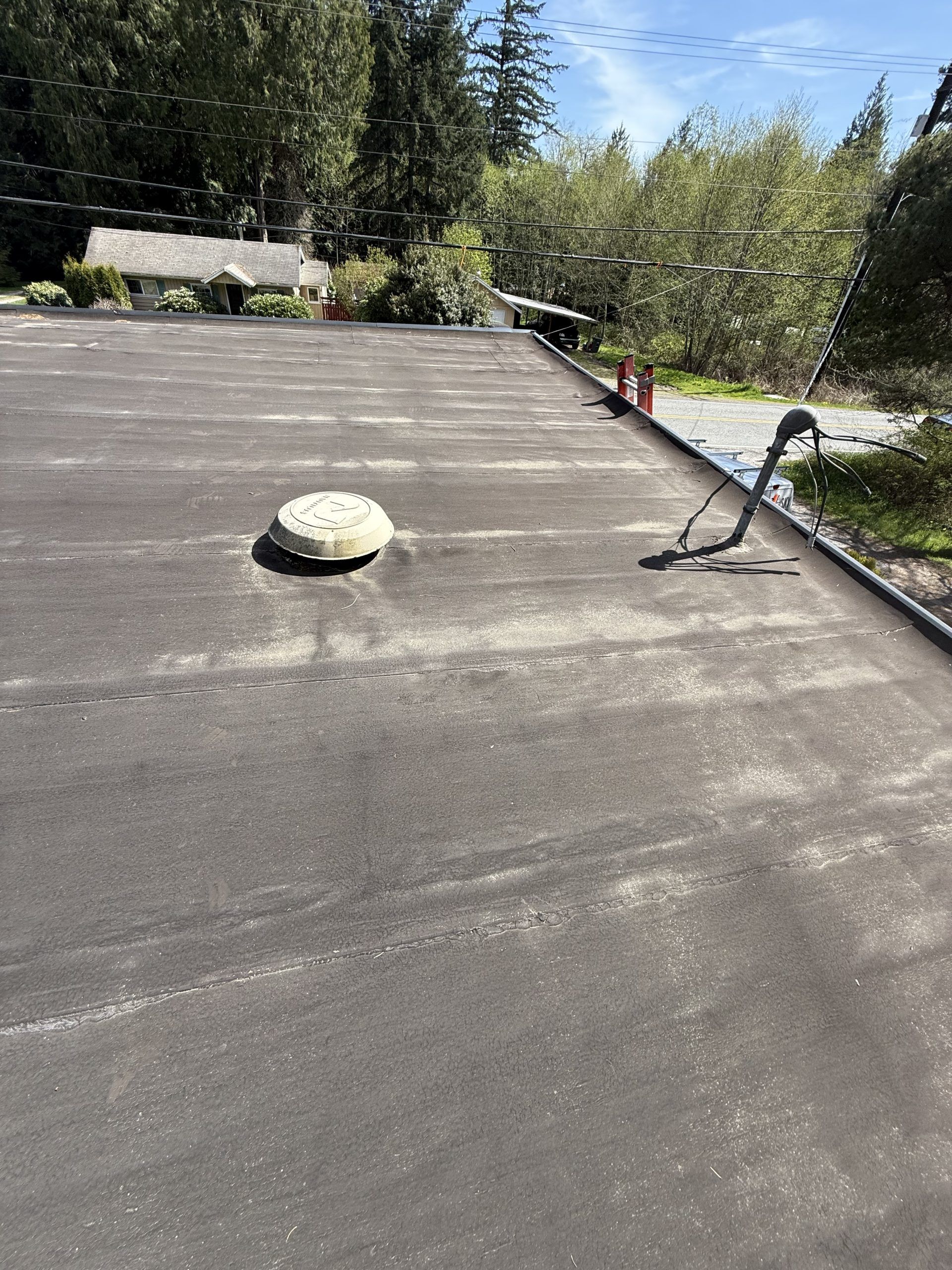 Flat dark rooftop with a vent cap and a hose, bordered by trees and a stone wall.