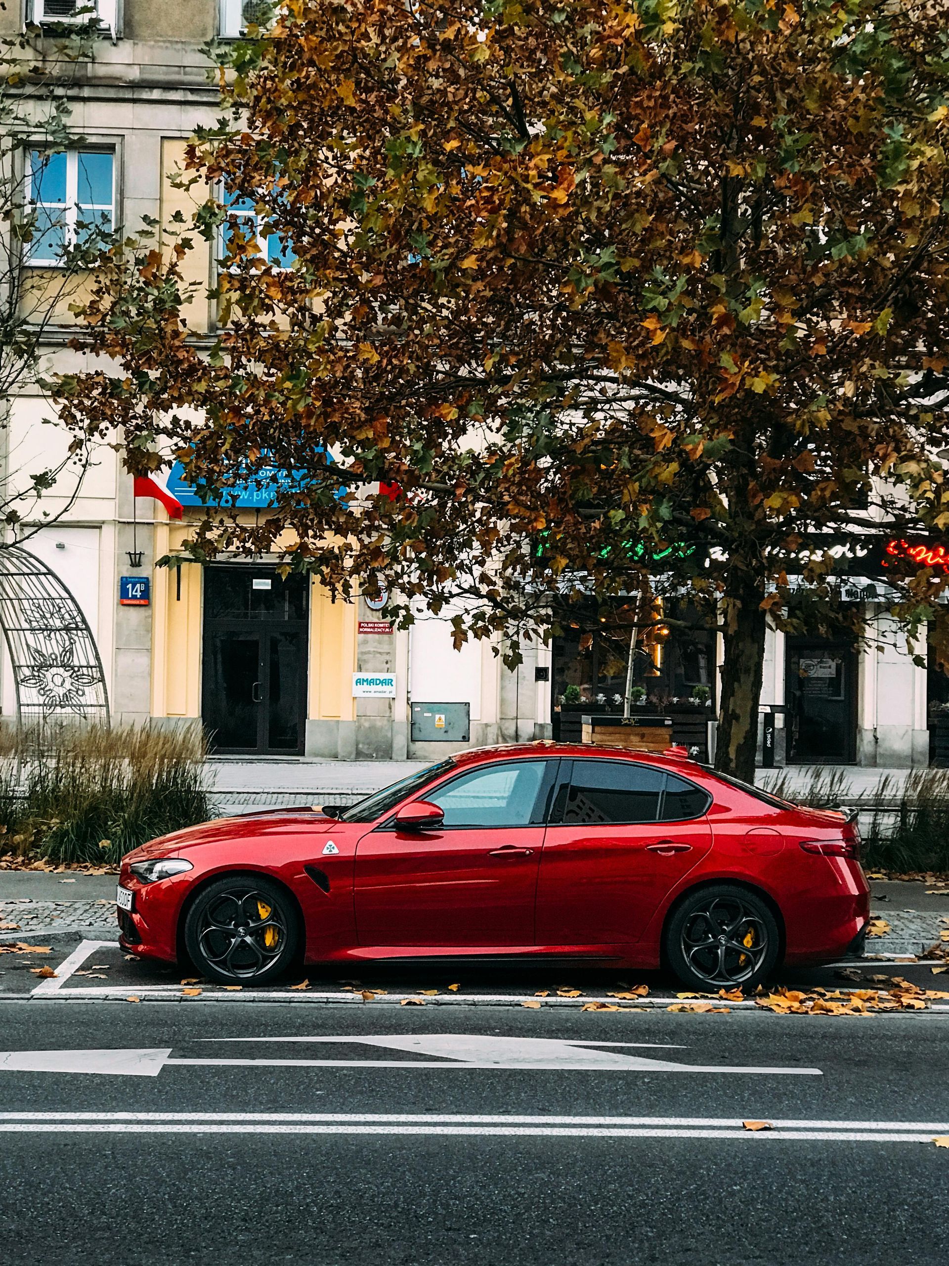 Red sports coupe parked on a city street beside autumn trees and buildings.