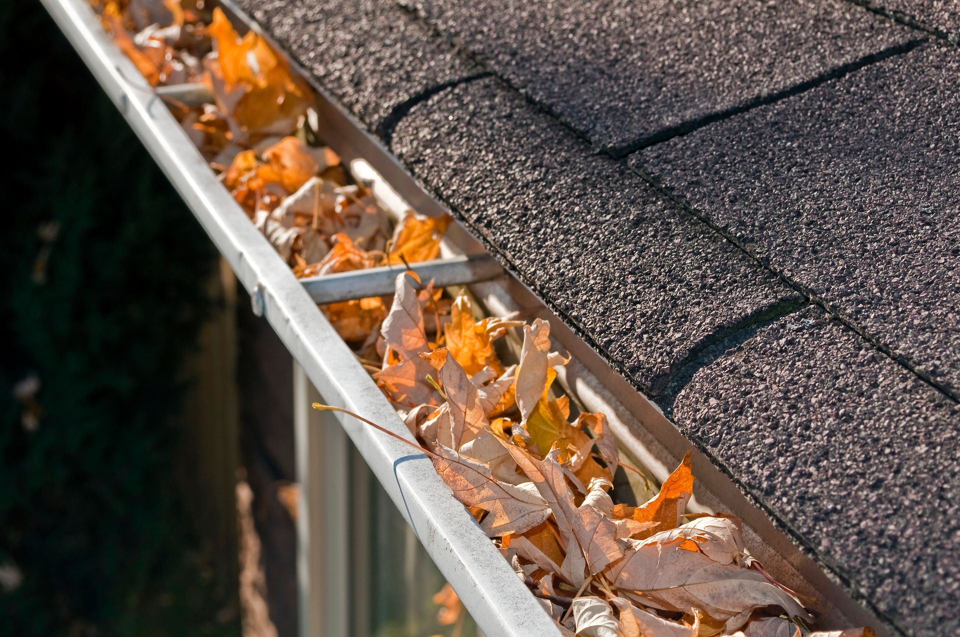 A gutter filled with leaves on top of a roof.