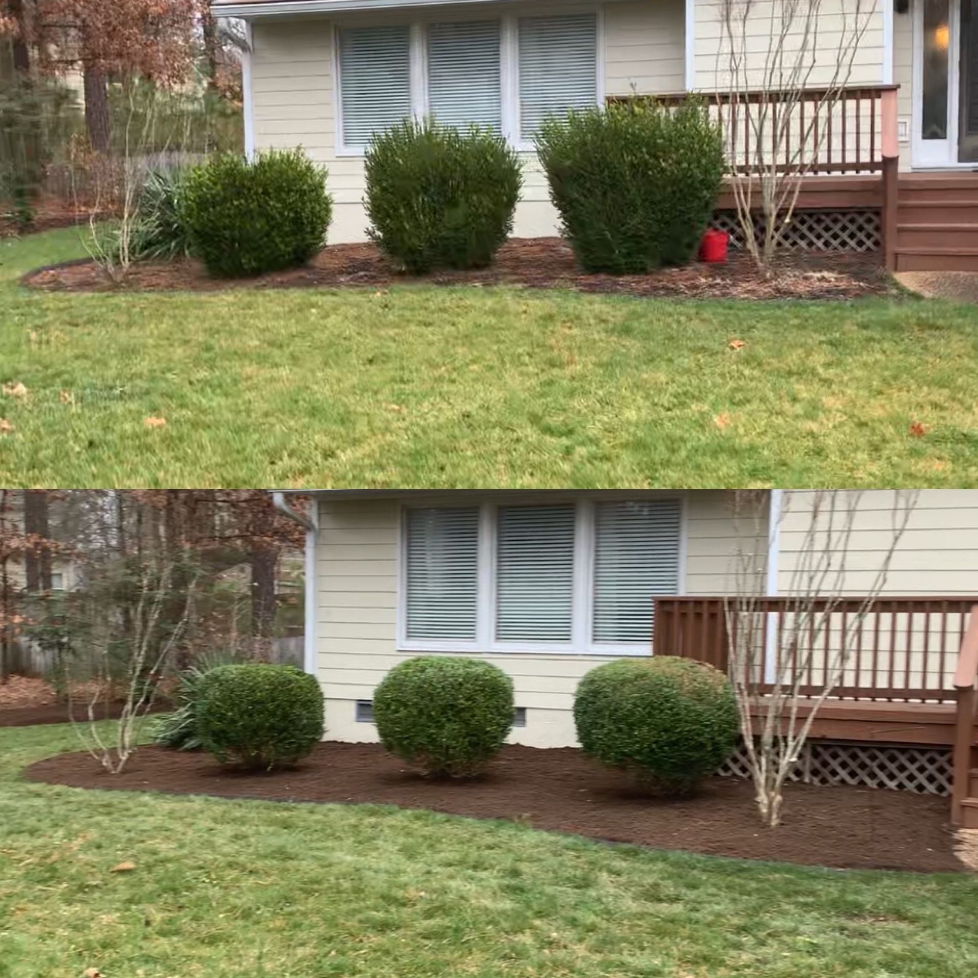 Landscape Bush Trimming