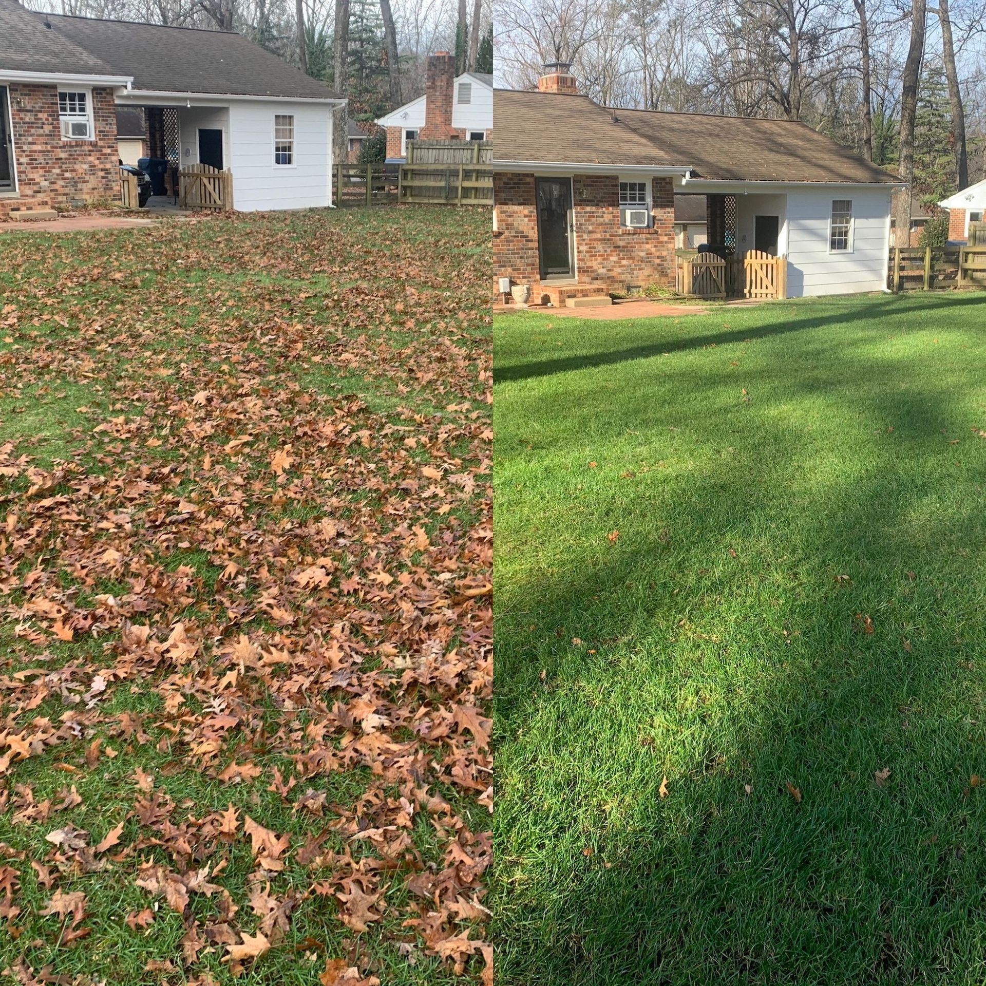 A before and after picture of a lawn with leaves on it and a house in the background.
