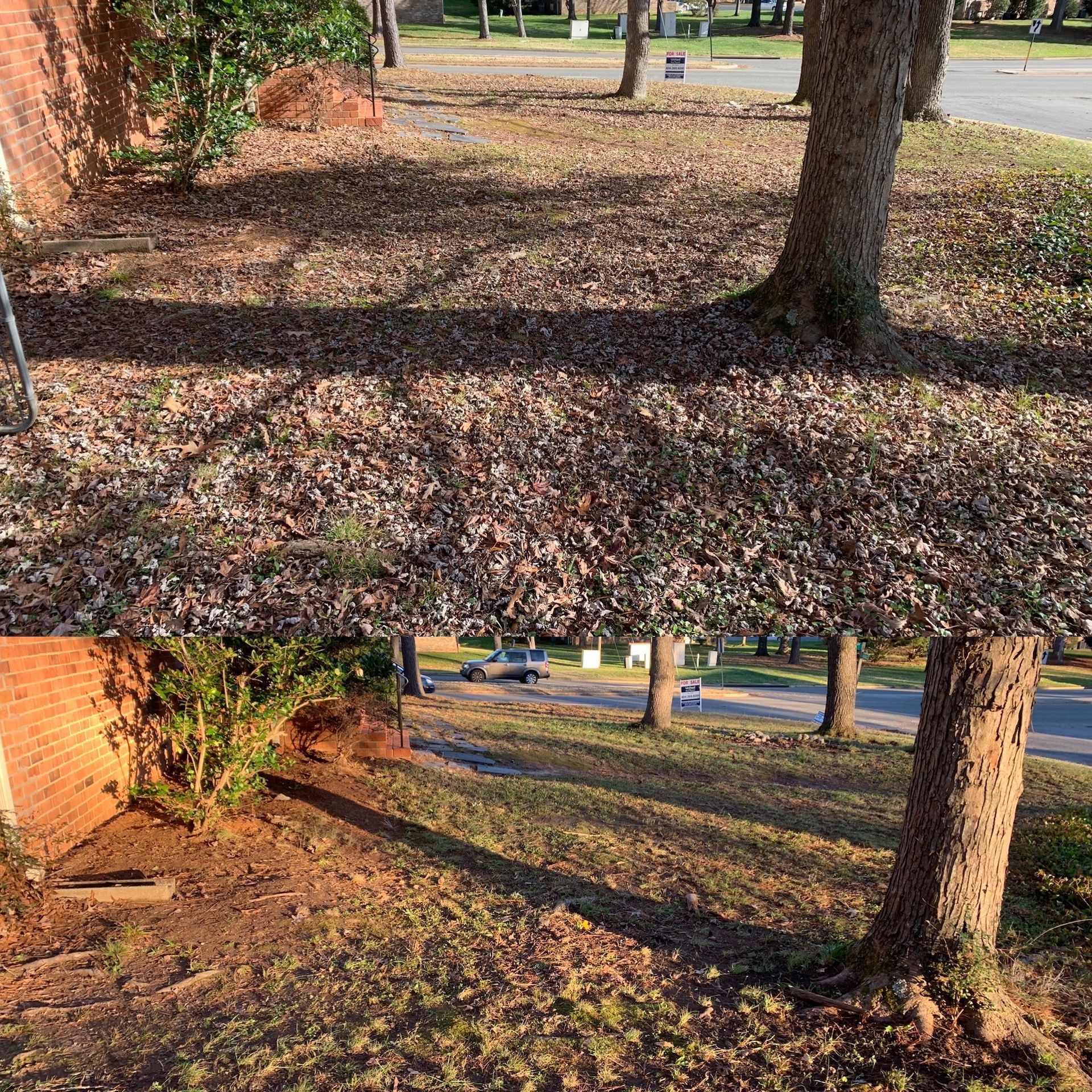 Before and After Cleanup Services