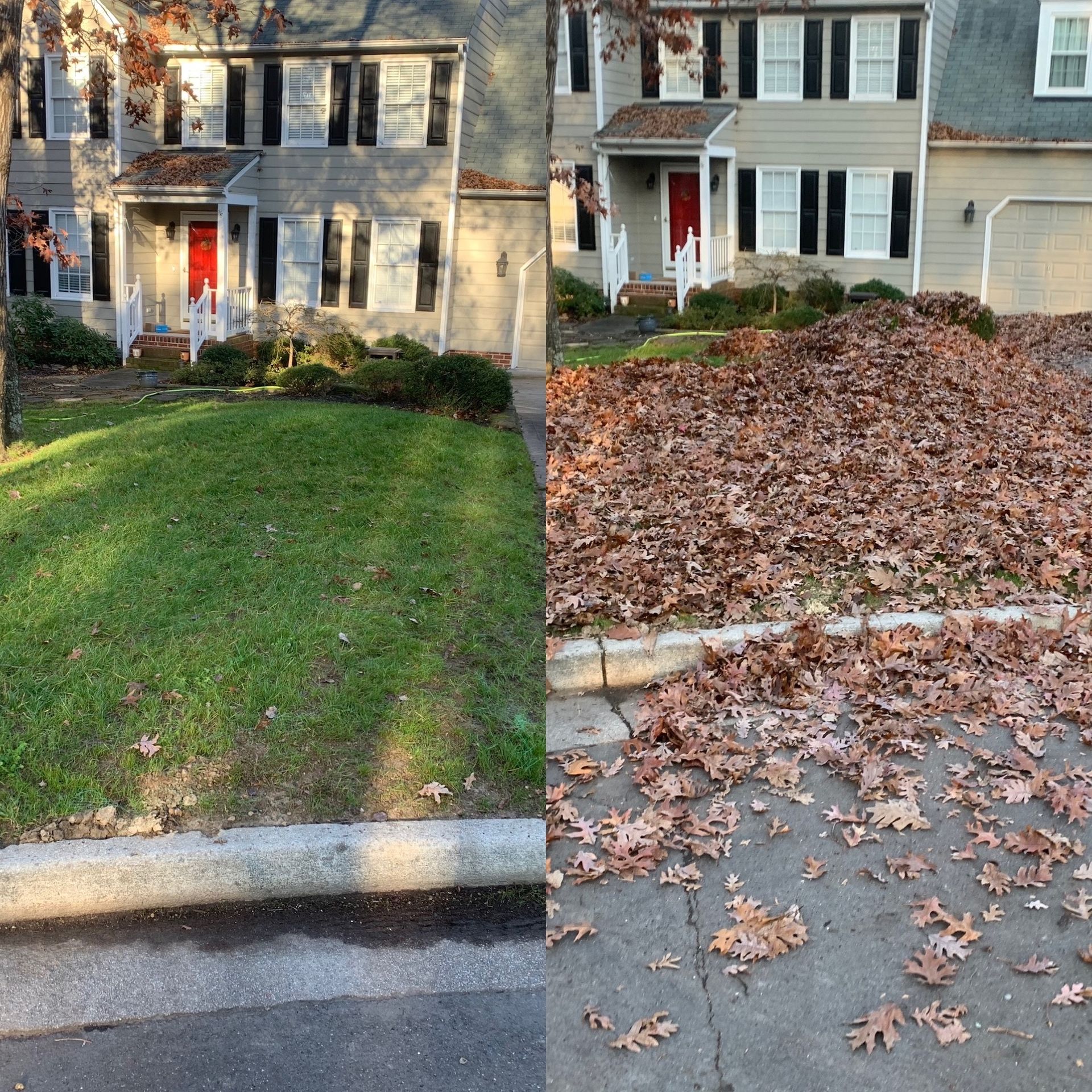 Property Clean-Up Solutions