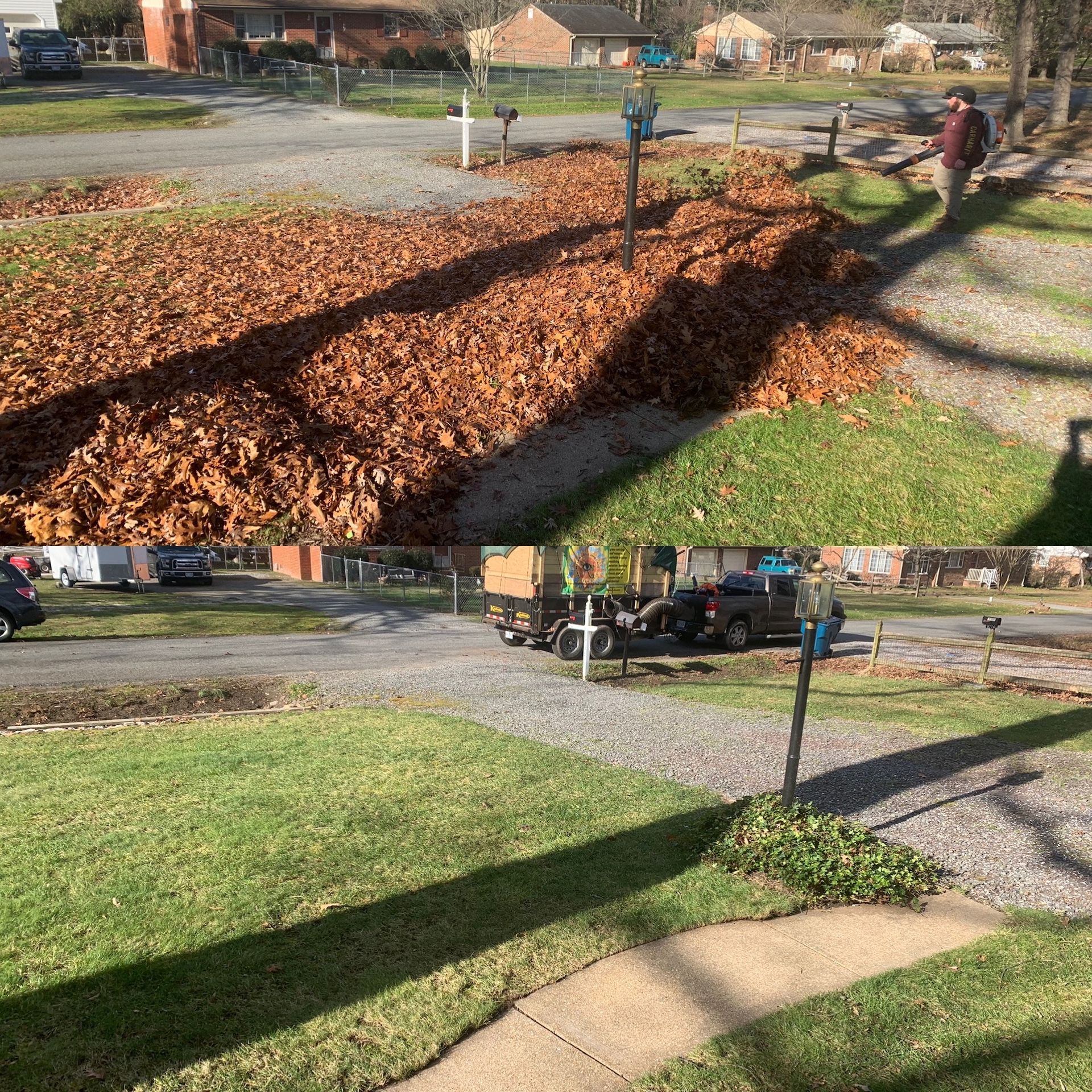 Before and After Lawn Cleaning