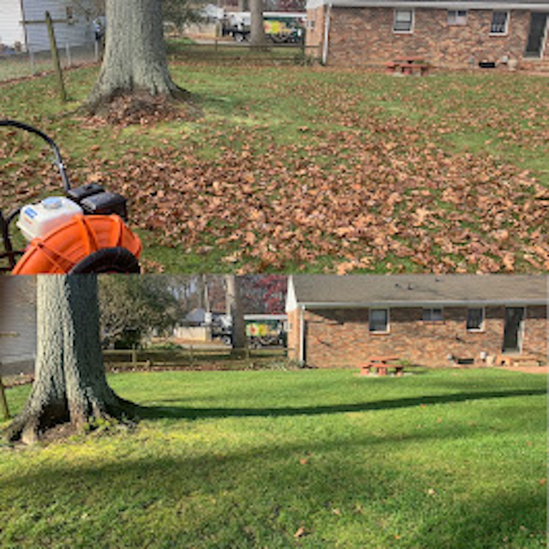 House Lawn Cleanup Services