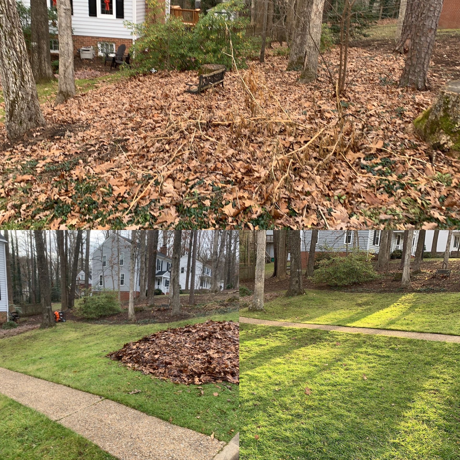 Residential Cleanup Services