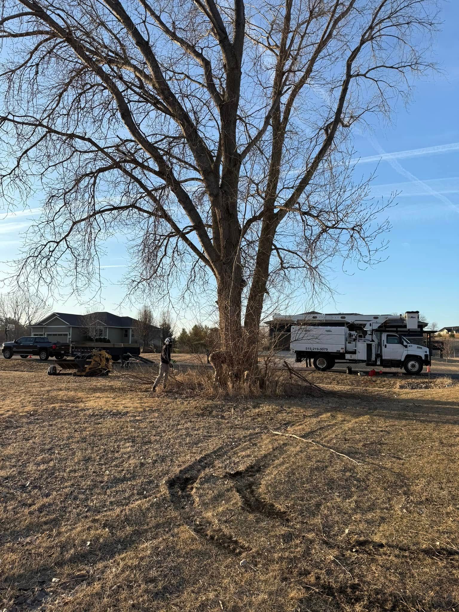A rv is parked under a tree in a field.