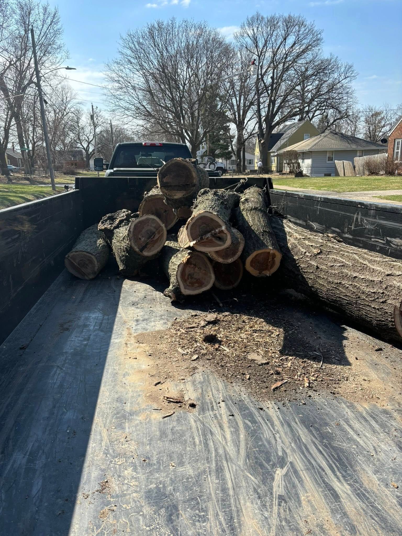 A pile of logs in the back of a truck.