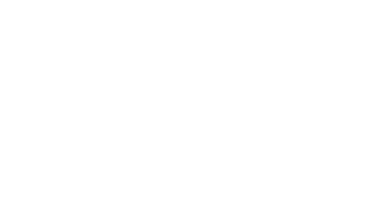 Mikelco Lifts logo