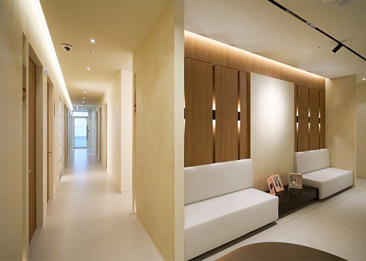 Clinic hallway at Violacell Plastic Surgery, Sinsa